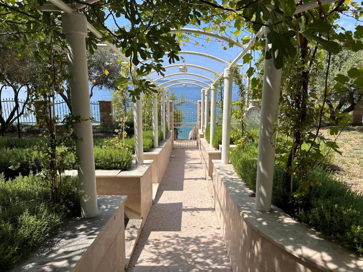 טרוגיר Luxury Seaside Villa With A Classic Mediterranean Olive Garden, A Fully Equipped Professional Kitchen, Pool, Sauna, Padle Boards And Canoe - Miolin Beach House מראה חיצוני תמונה